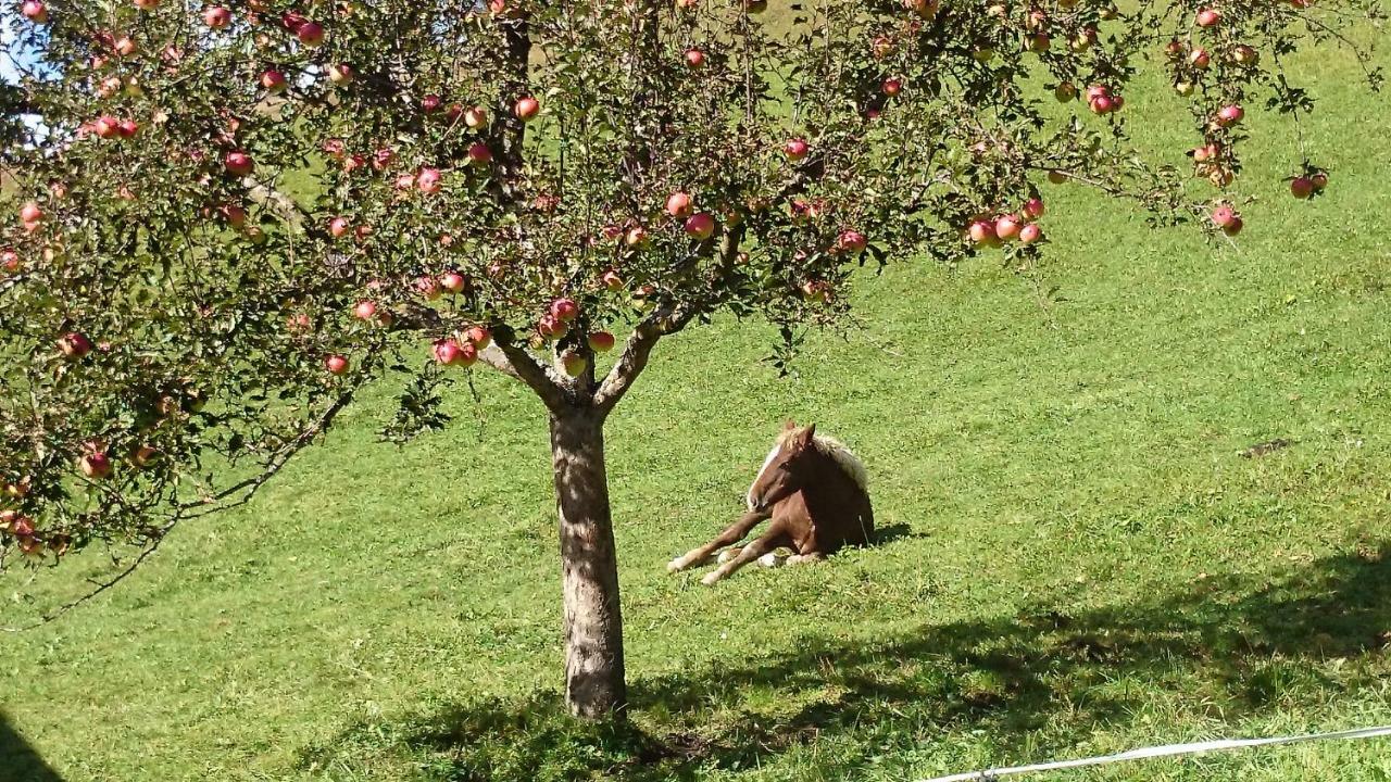 Musikhof Lexer Daire Liesing Dış mekan fotoğraf