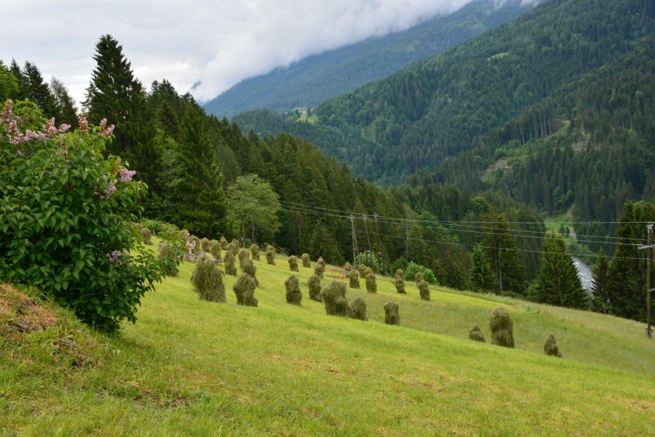 Musikhof Lexer Daire Liesing Dış mekan fotoğraf